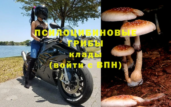 шишки Алексин